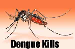 Dengue 